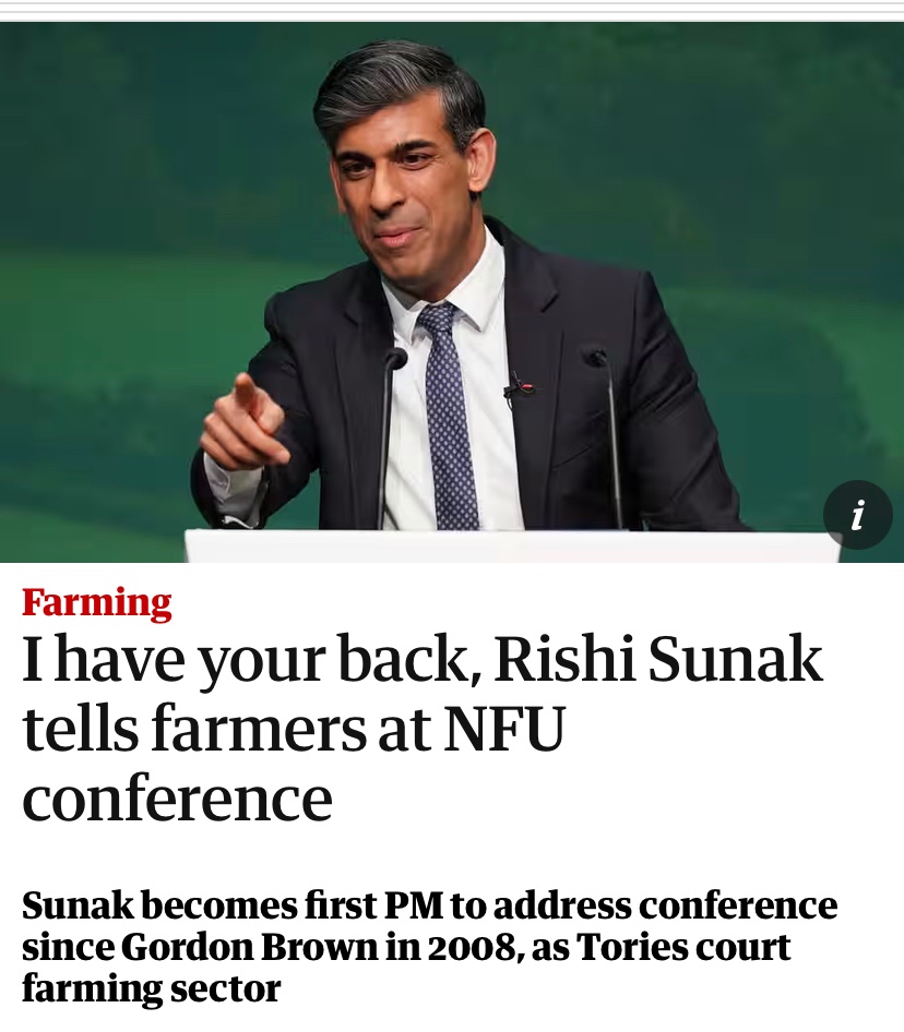 The Purple Pimpernel tweet media