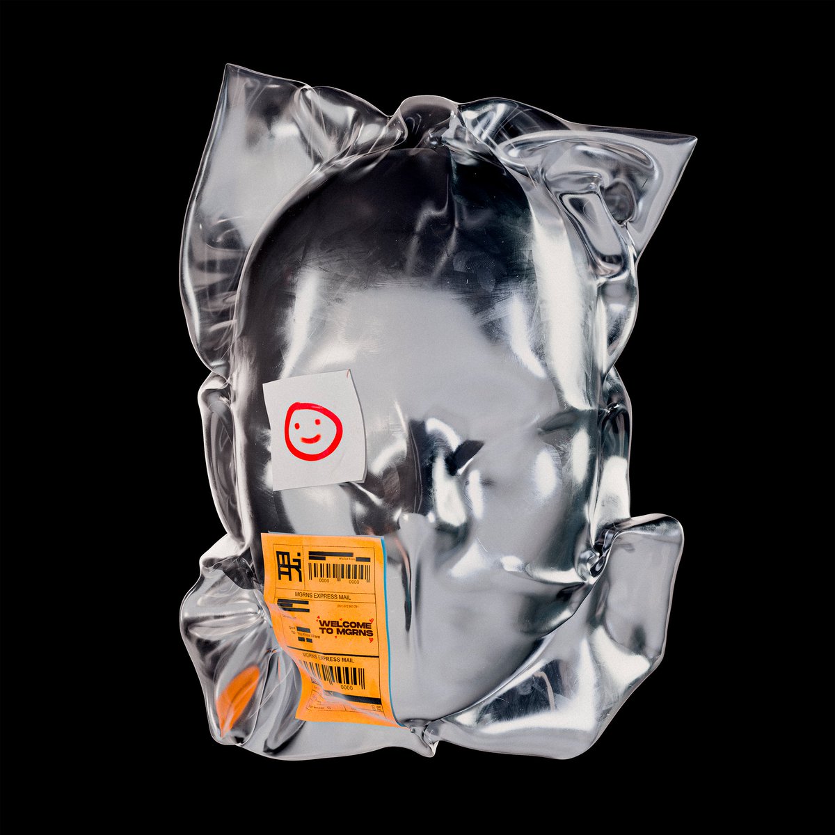 The Container - the open edition piece from my <a href="/cryptocomnft/">Crypto.com NFT</a> drop 🔥