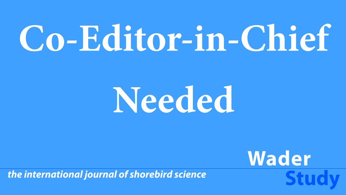 WADER STUDY is looking for a new Co-Editor-in-Chief! This is a voluntary position for someone with good knowledge of #shorebirds, publishing & analytical experience, good English skills and is happy to provide extra help to non-professional authors. #waders #ornithology