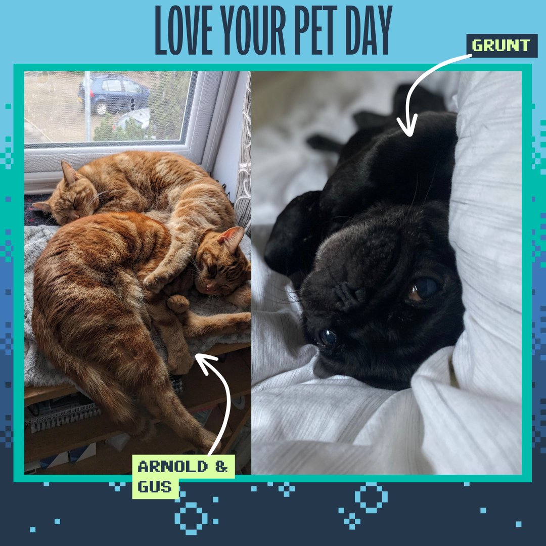 It's #LoveYourPet day! 🐱🐶

Here's the GamesForWaves teams animal companions, Arnold and Gus, and Grunt! 🐾

We demand pet pics in the comments! 👇