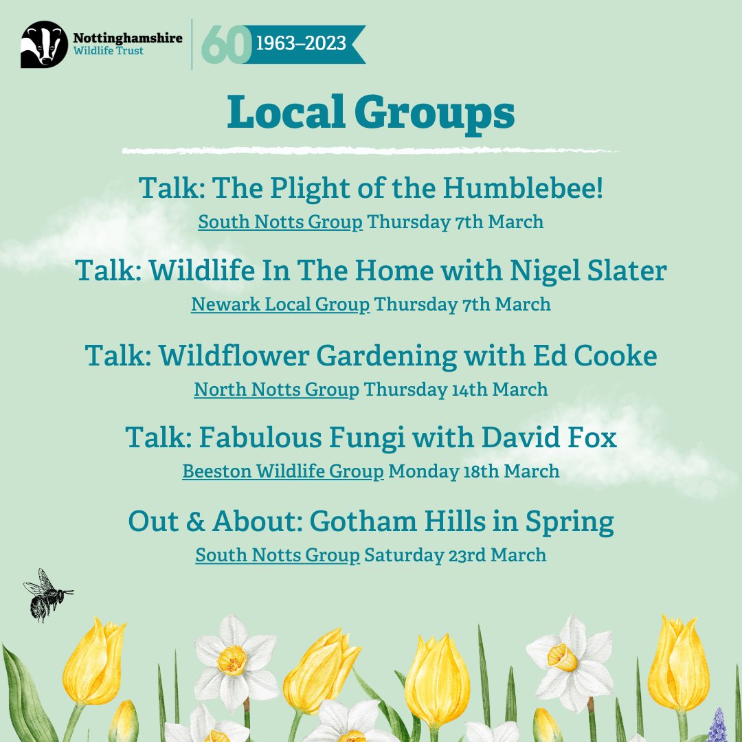 Go wild this #March, at our flagship sites @IdleValleyChat & @AttenboroughNR, as well as other sites & online! 🍃 We have a variety of events happening across #Nottinghamshire, giving everyone the opportunity to connect with nature on their doorstep.💚 nottinghamshirewildlife.org/events