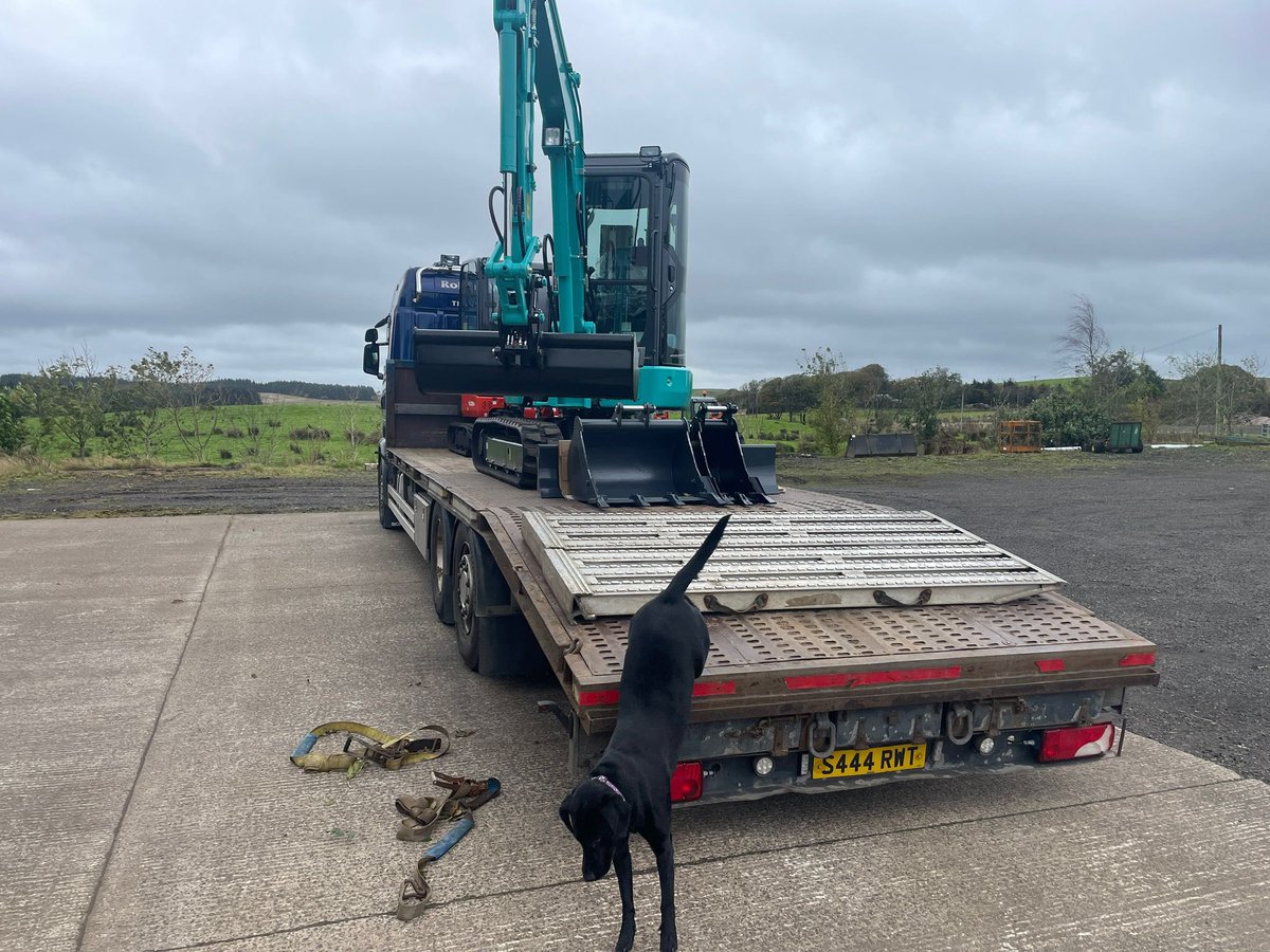 Spot the dog! Sometimes we let her load the machines 😁

#NationalLoveYourPetDay 
#labrador
#newkobelco
#usedkubota