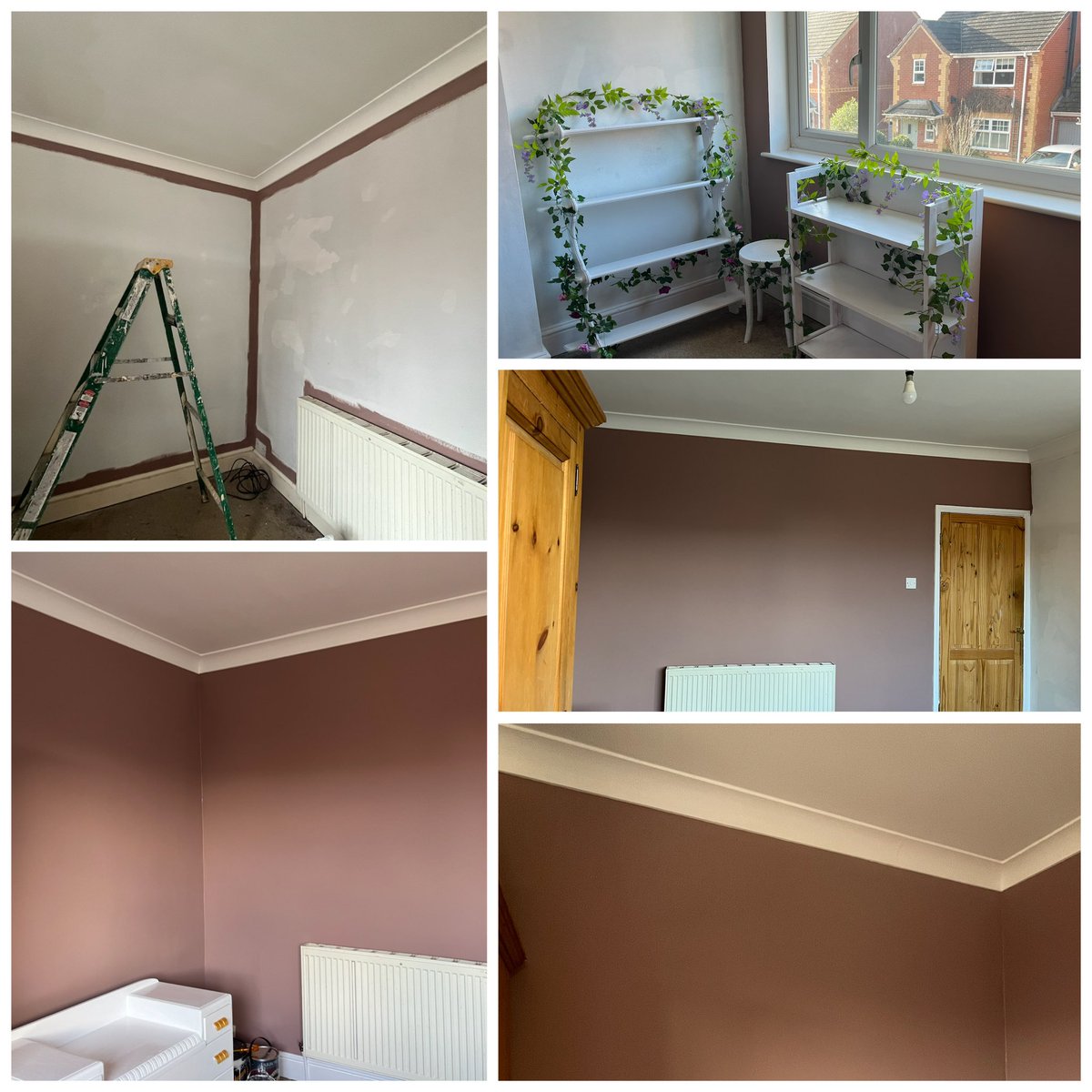 Ceridwen Eccles tweet media