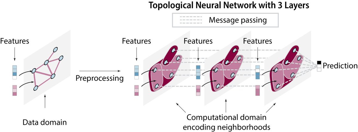 Want to code your 1st topological neural net, and leverage higher-order structure from your dataset?🍩🤖

Try #TopoX, a suite of 3 Python packages for machine learning and deep learning on hypergraphs, simplicial, cellular, path and combinatorial complexes🌟

<a href="/PyT_Team_/">PyT</a>