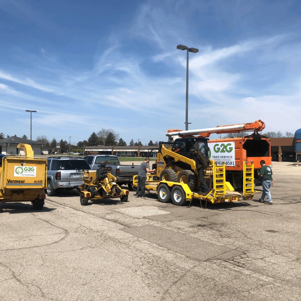 G2GTreeService's tweet image. If you&apos;re looking for experienced tree experts committed to delivering outstanding tree takedown service at competitive prices, look no further than G2G Tree Service LLC! Check out our website for more information.

#TreeTakedown bit.ly/45wvhjR