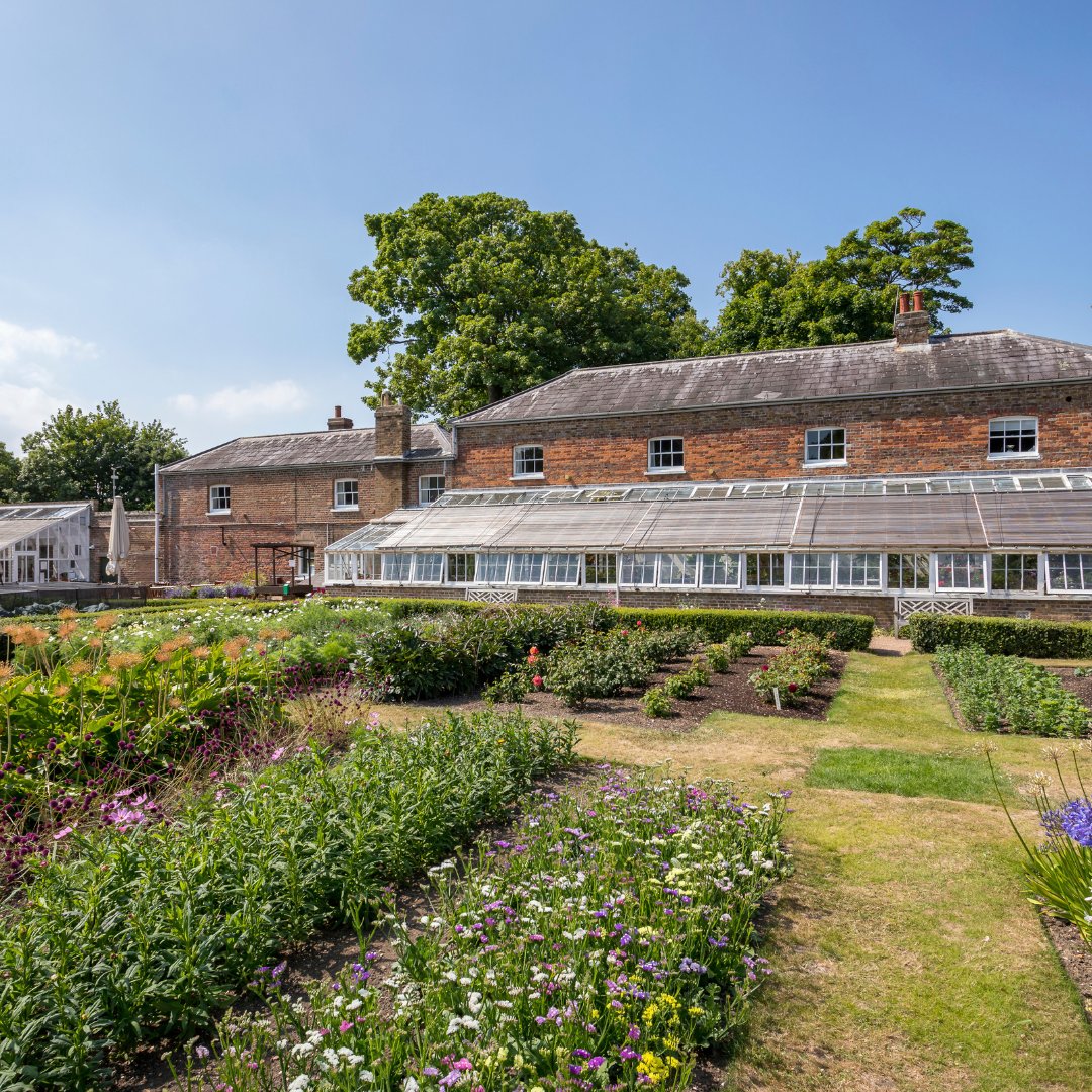 The glasshouses in our wonderful garden were first built in 1898 and initially contained a fernery, tomato house, and a vinery. Although they have since been expanded, you can visit Walmer for yourself and appreciate the current variety on display >>> english-heritage.org.uk/visit/places/w…