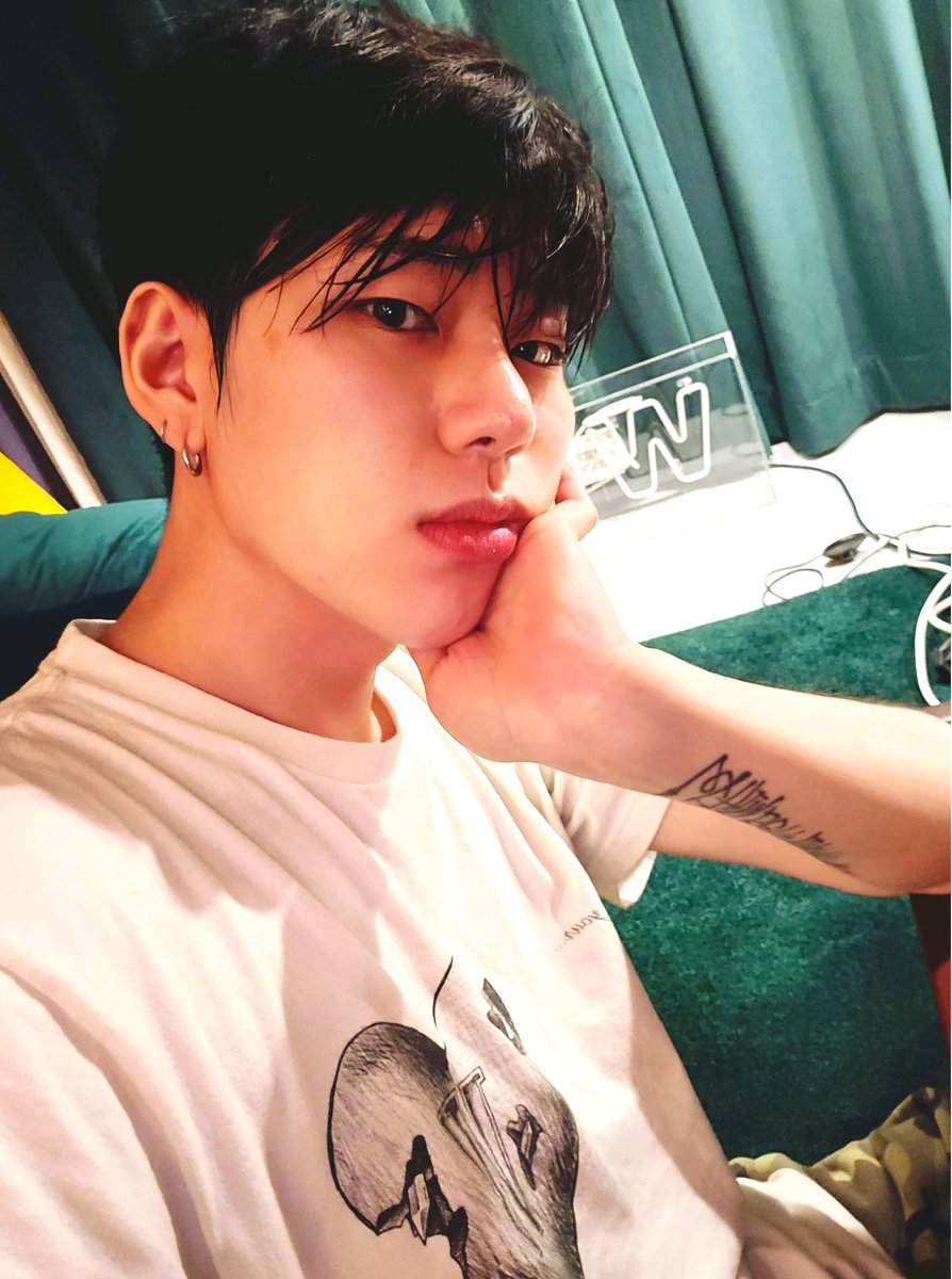 코몬들 분노를 사진 한 장으로 눌러버리시는 킹...