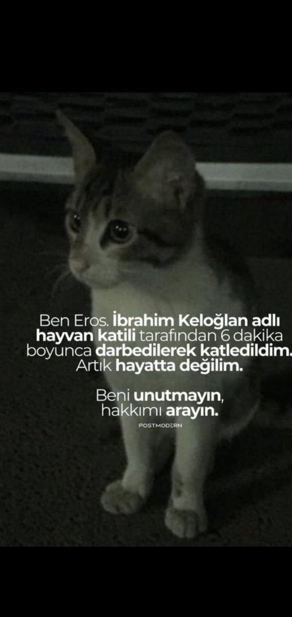 Bugün de unutmadık unutturmayacağız
Eros için ses olalım
#erosunsesibiziz
#ErosIcinAdalet
#ibrahimkeloğlanTUTUKLANSIN