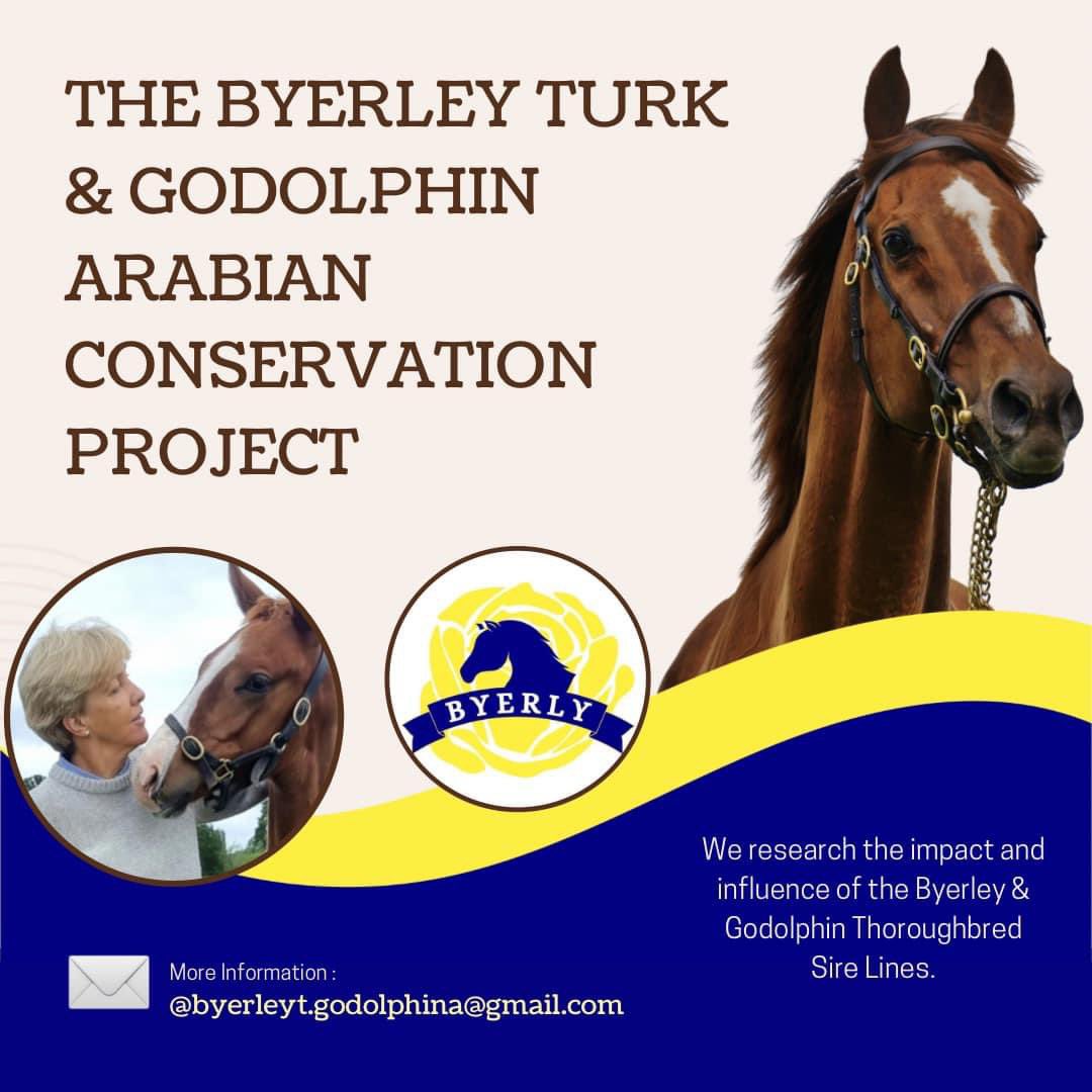 That’s now 🔟 fillies on the trot, with our latest arrival born during the early hours of this morning.

🔹 This filly is just one of two foals expected by the late Indian Haven this year, the Guineas winning descendant of the Byerley Turk line.

Bred by Suzi Pritchard-Jones.