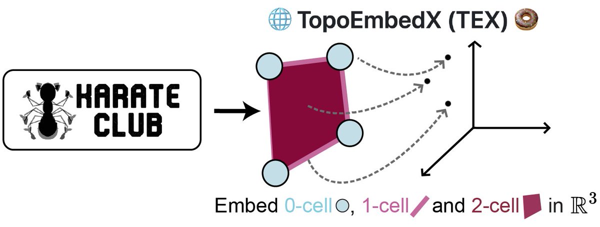 ninamiolane's tweet photo. #TopoEmbedX extends the well-known graph-focused KarateClub to provide representations of topological domains beyond graphs!
For example, cell-level or complex-level embeddings into Euclidean spaces.
https://t.co/vB9v34XPZS https://t.co/U47AIEWmsD