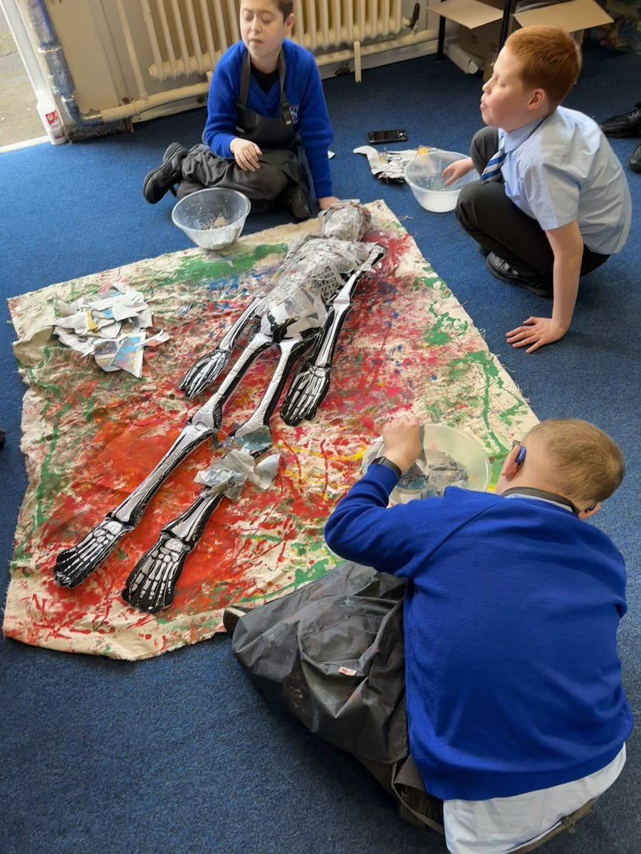 Carrying on from last term we have continued with the human body “sammy” is T1s skeleton 🦴 we will be adding to the display in our art lessons ✨