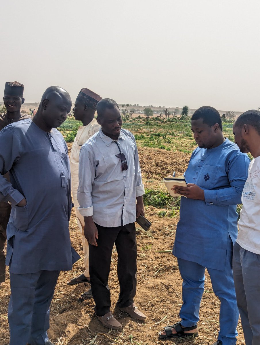 Babat2011's tweet photo. Today, I visited two clusters in Sokoto State to conduct a need assessment in preparation for GlobalG.A.P version 6 implementation. 

I am very passionate about food and food safety. It is my calling and assignment. 

#GlobalG.A.P #Foodsafety https://t.co/hsGuCIJLkF