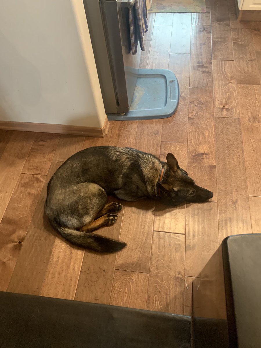 Best feeling in the world, having breakfast with the grandkids and the dog🤗🐕 #RetirementRules