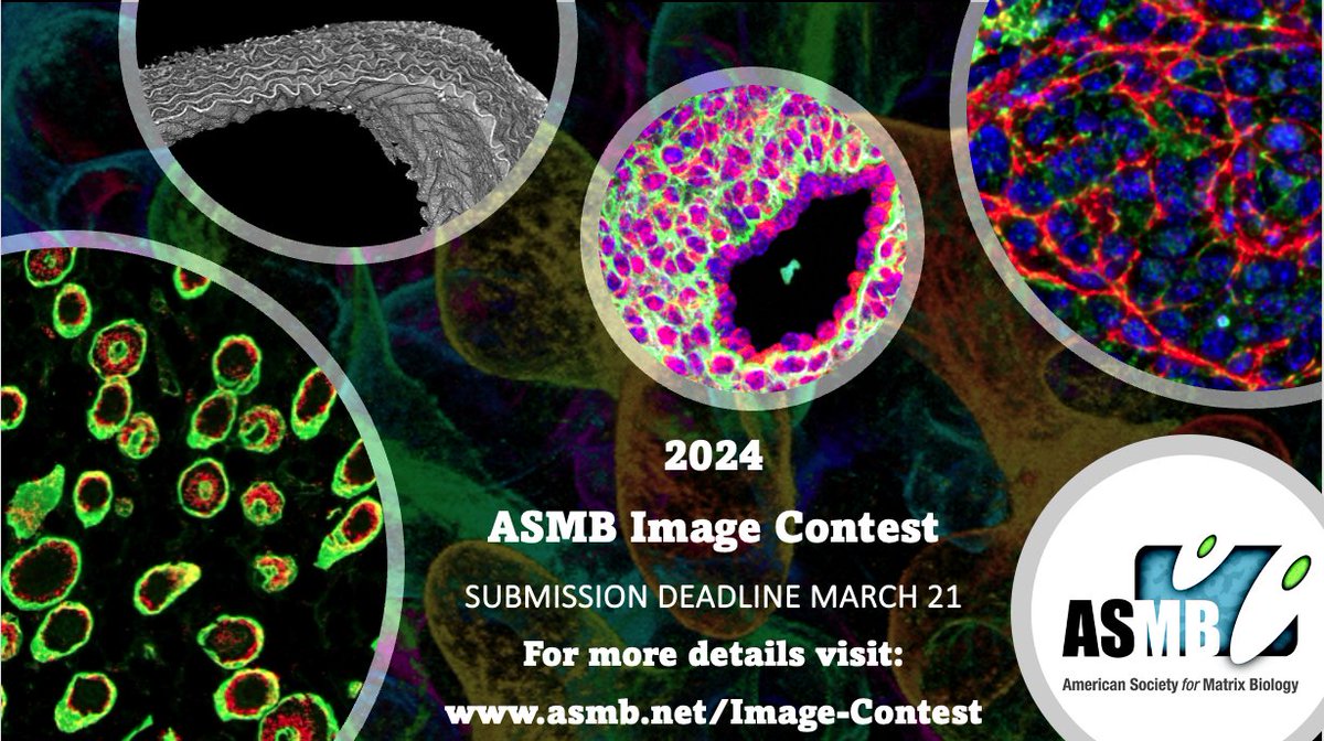 📣#ASMB #ISMB Members 📣 🌟Our #2024ImageContest 🌟🔬is now open for submissions until March 21st 2024! Check out all #Details and #Prizes on asmb.memberclicks.net/image-contest and submit today! #ScienceArt #ECMatrixIsEverywhere