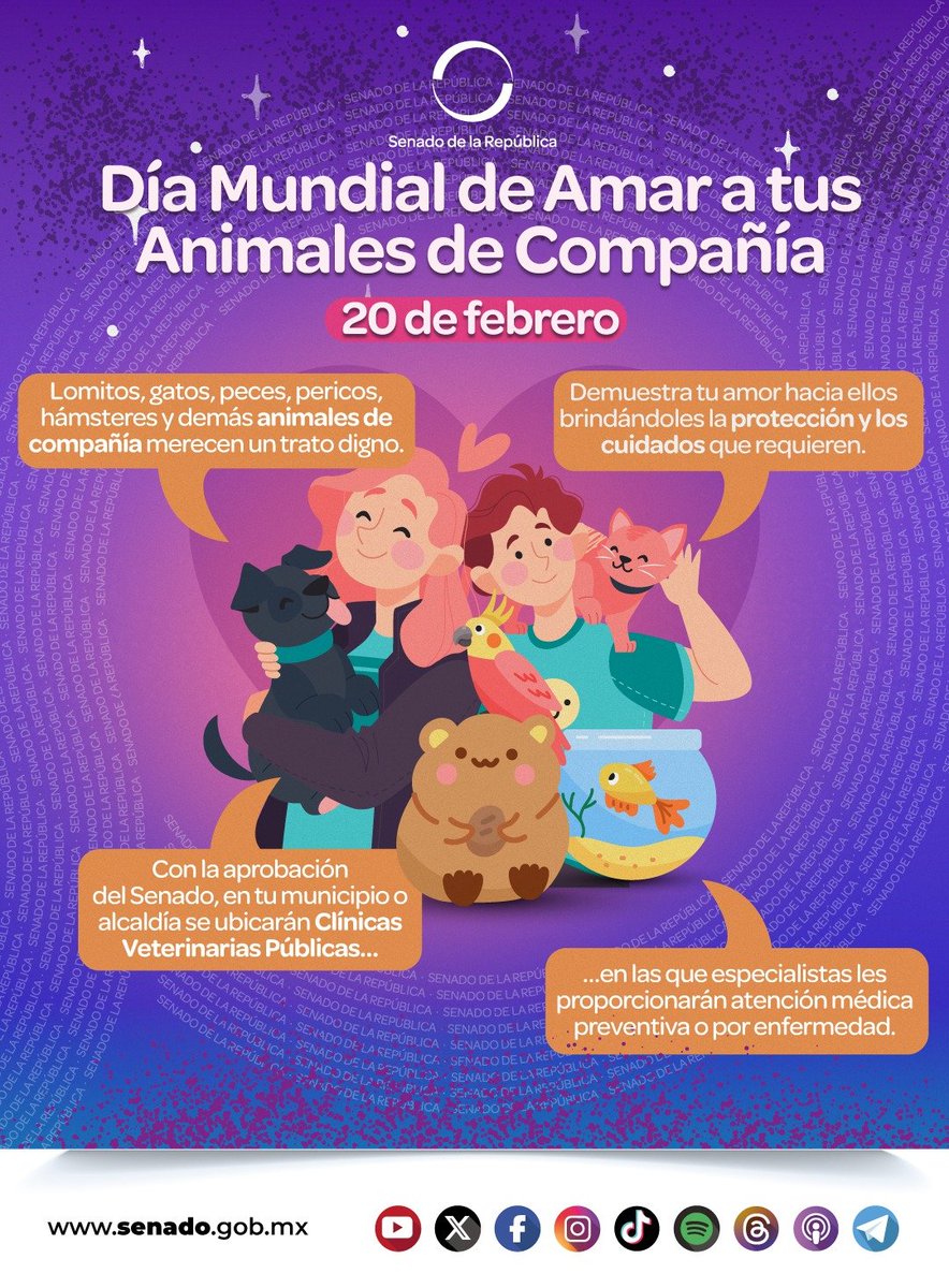 Senado de México tweet media