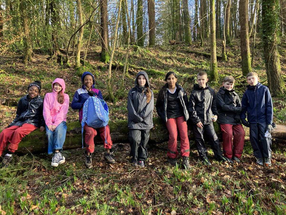 St_monicas_prim's tweet photo. The #redgroup loving life adventuring in the forest! #Barcaple2024 π₯Ύπ²πͺ΅βοΈπ¦ https://t.co/iwA09smR66