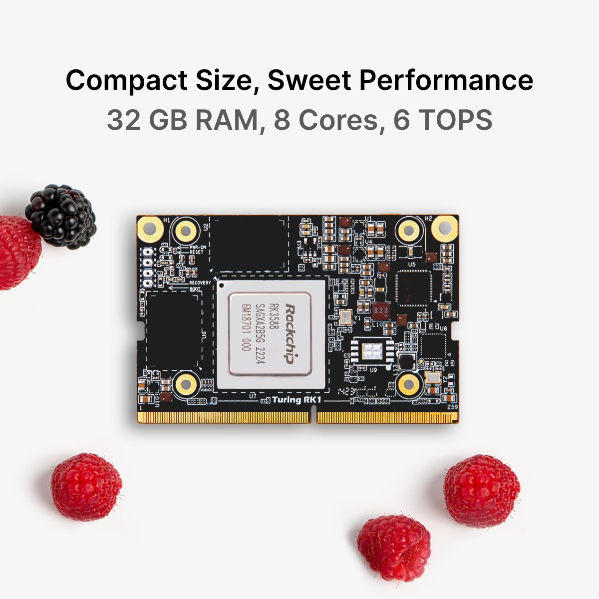 turingpi's tweet photo. Berry impressive! https://t.co/qJWLlgSfBt