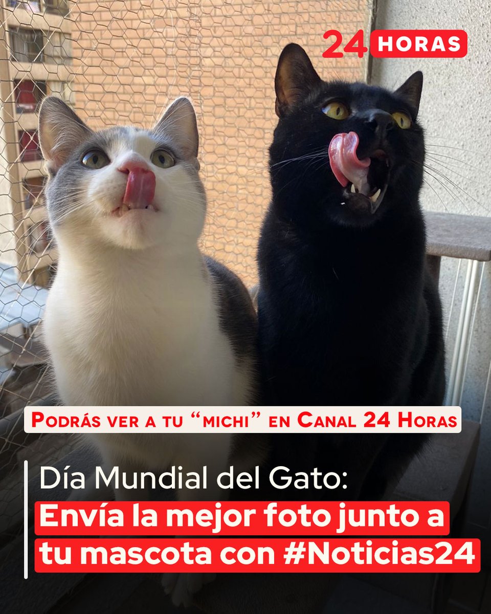 24 Horas tweet media