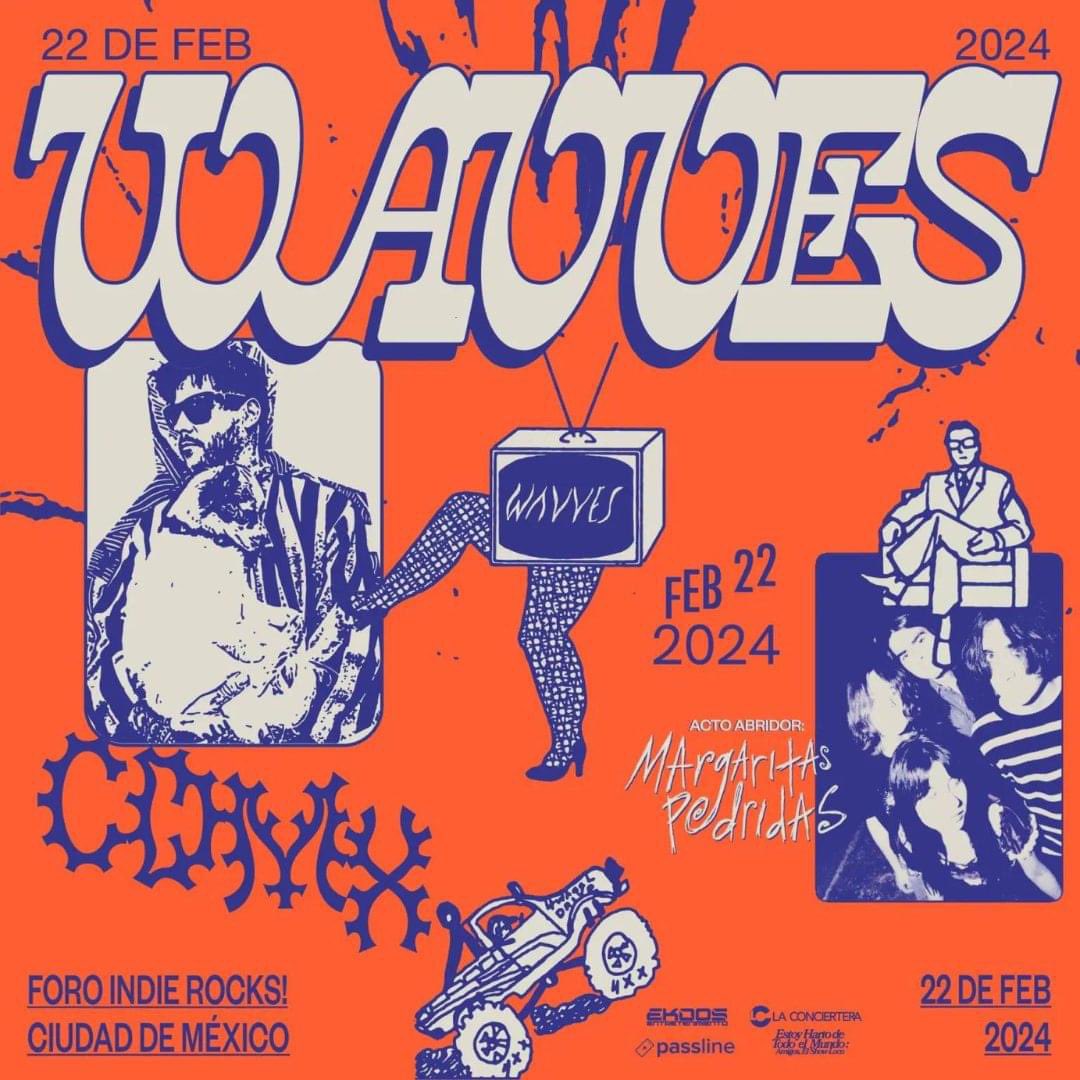 Indie Rocks! tweet media