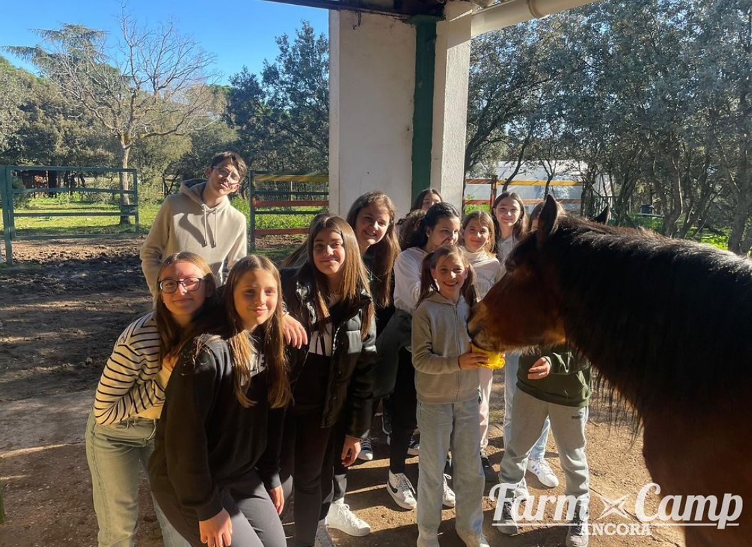 milagrosablanca's tweet photo. Alumnos de primaria y secundaria disfrutan de una fantástica semana de inmersión lingüística 🇬🇧 en el Farm Camp de Ancora, en Guadalajara.
#inmersionlinguistica #FarmCamp #Colegioshhcc #EducaciónVicenciana https://t.co/Uqm1L2NPvH