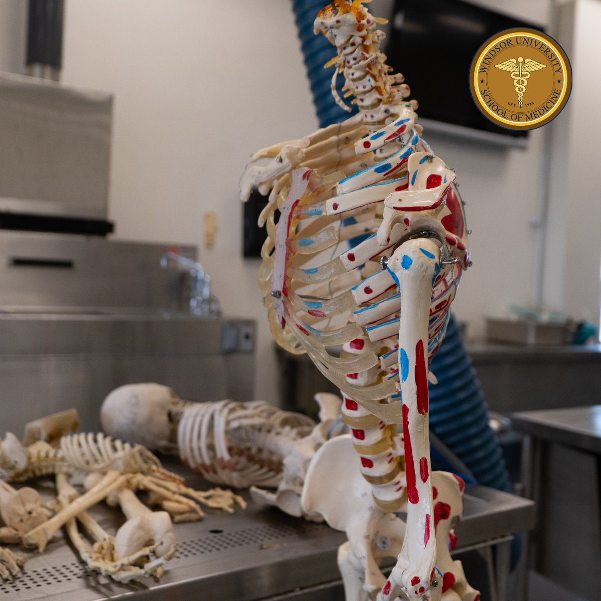 WUSOM's tweet photo. At Windsor, we believe in providing our students with state-of-the-art facilities for a transformative learning experience. 🏫✨ Explore our modern Anotomy Lab!

#anotomylab #learningfacilities #caribbeanmedicalschool #internationalstudies #medicaluniversity #wusomcampus https://t.co/VaJ49m7BF4