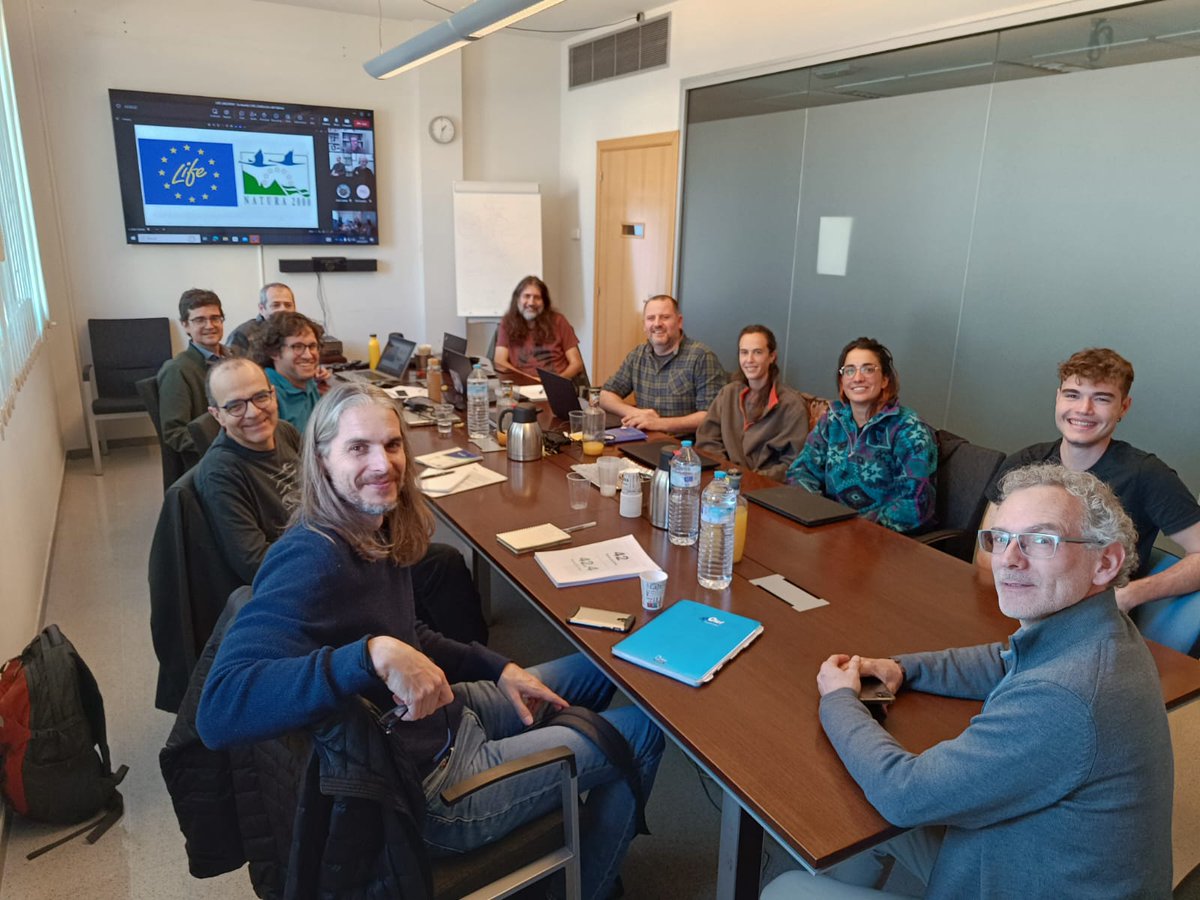 LIFE_UNCINATA tweet media