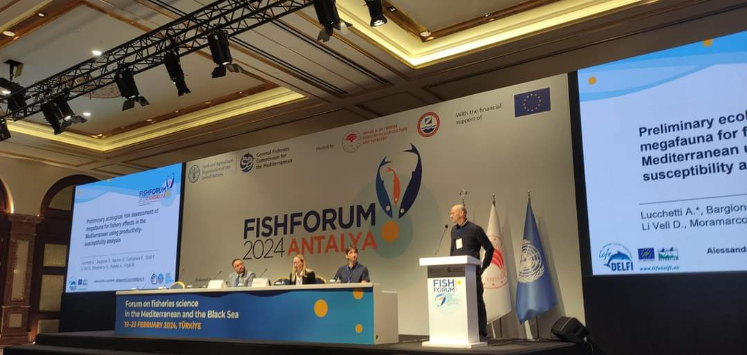 Life Delfi (@delfi_life) on Twitter photo #LifeDelfi 🐬with Alessandro Lucchetti from <a href="/CnrIrbim/">IRBIM CNR</a> at the #FishForum2024 🛶 in Turkey. The Forum, by <a href="/UN_FAO_GFCM/">General Fisheries Commission for the Mediterranean</a>, brought together scientific researchers, fishermen to discuss the future directions the #fishing sector can take thanks to #science
#LIFEprogramme #LIFEproject #LifeDelfi 🐬with Alessandro Lucchetti from <a href="/CnrIrbim/">IRBIM CNR</a> at the #FishForum2024 🛶 in Turkey. The Forum, by <a href="/UN_FAO_GFCM/">General Fisheries Commission for the Mediterranean</a>, brought together scientific researchers, fishermen to discuss the future directions the #fishing sector can take thanks to #science
#LIFEprogramme #LIFEproject