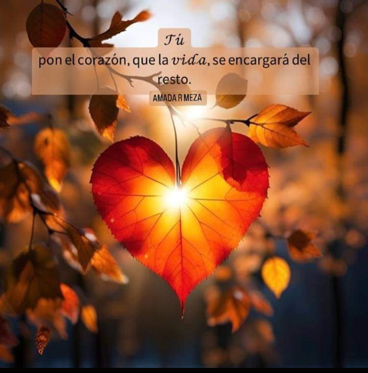 ZuryMayen's tweet image. Con el corazón completo!!!! #NuevosComienzos