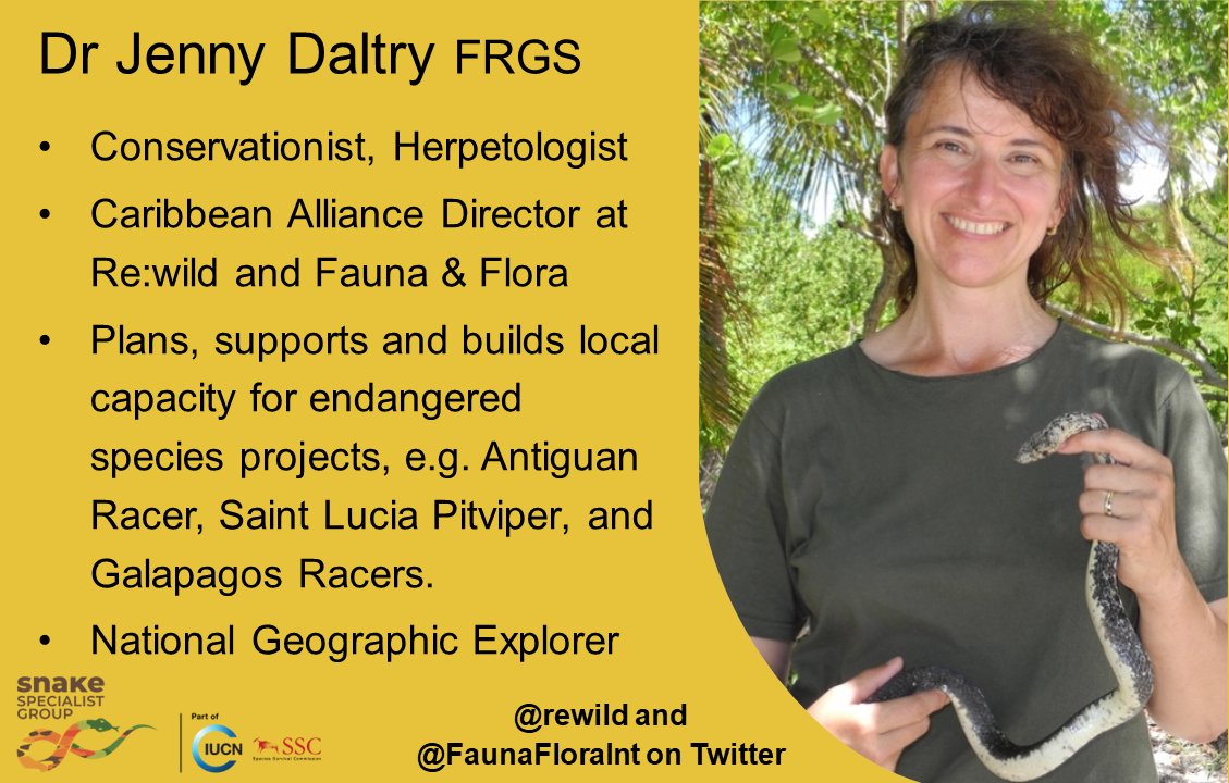 Another @IUCN Snake Specialist Group members highlight! Check out what @FaunaFloraInt gets up to 👇!