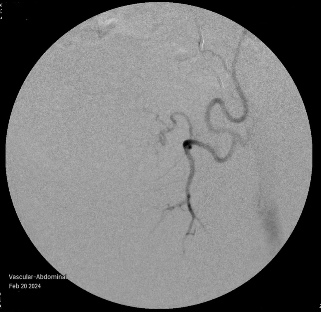 Rylie Ju tweet media