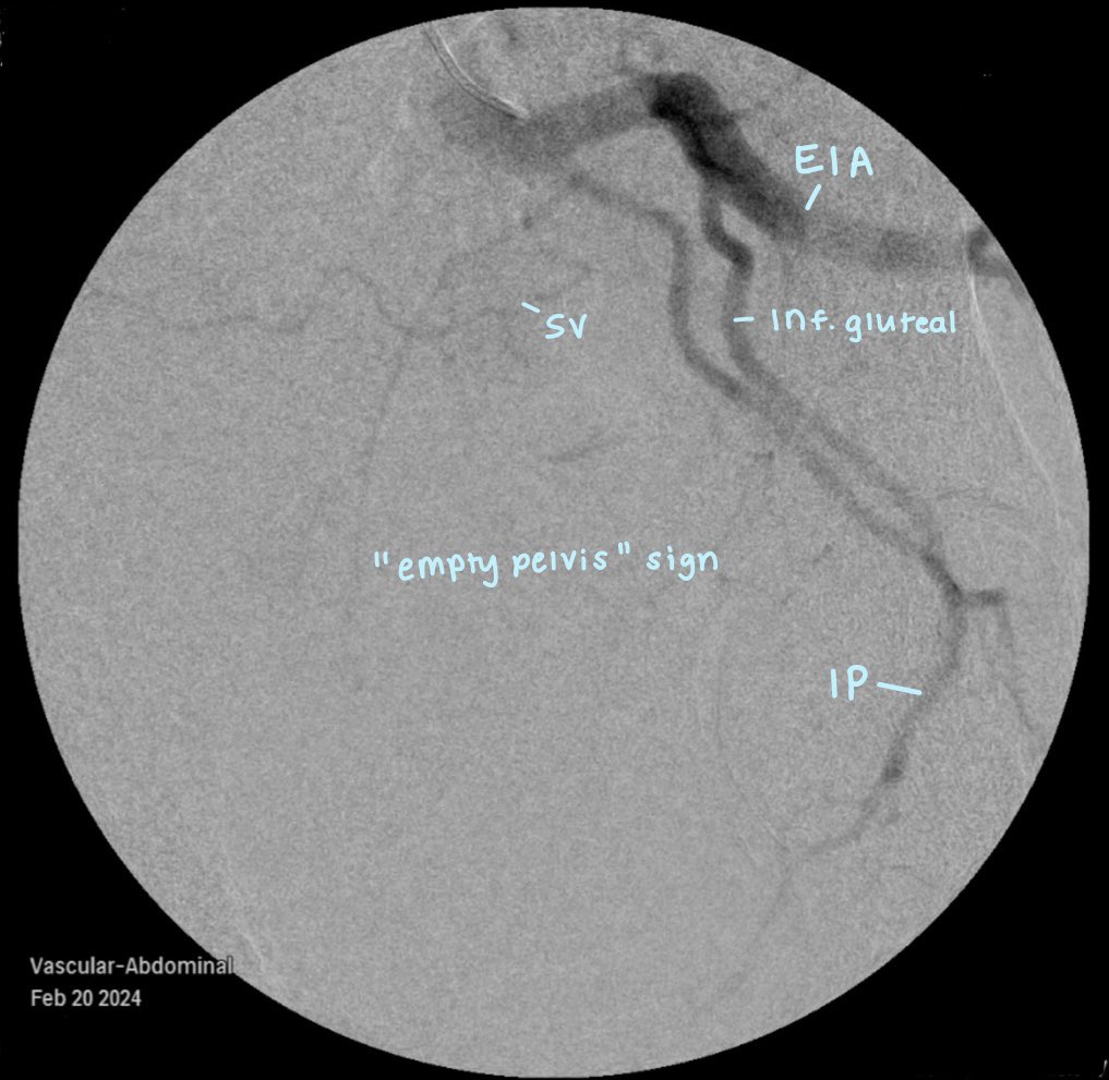 Rylie Ju tweet media