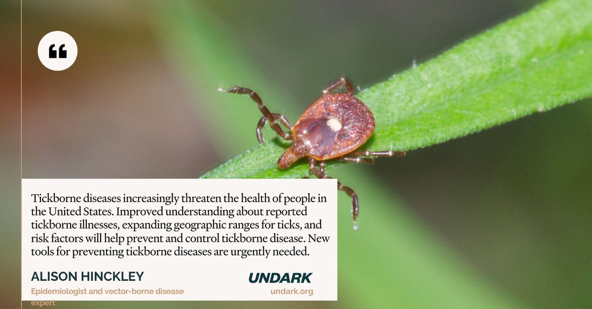 The Lone Star Tick, known for bringing novel maladies such as meat allergies and the Bourbon virus, is expanding northward and posing a threat to the blacklegged tick, which transmits Lyme disease. Read more from journalist @rebersole. 🔗bit.ly/4bkyk1T