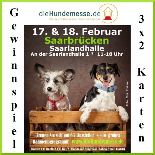 #Schade, dass ich #DIE verpasst habe: #Hundemesse #Saarlandhalle #Saarbrücken