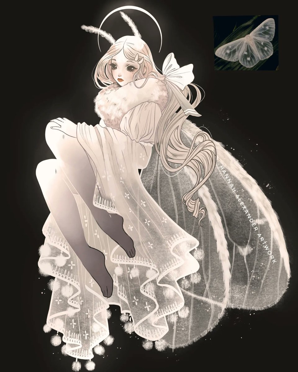Lymantrine Moth 🌙