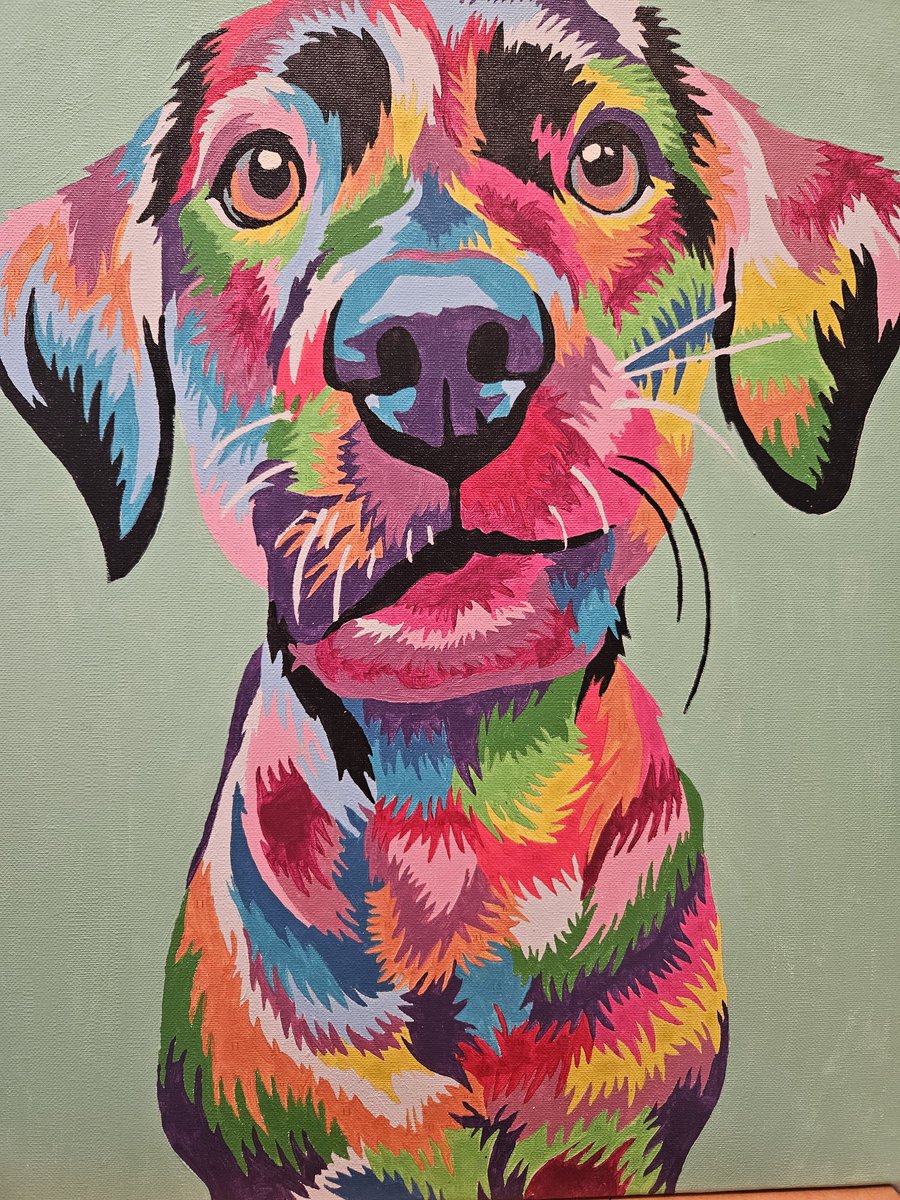 Nat 🐼 tweet media