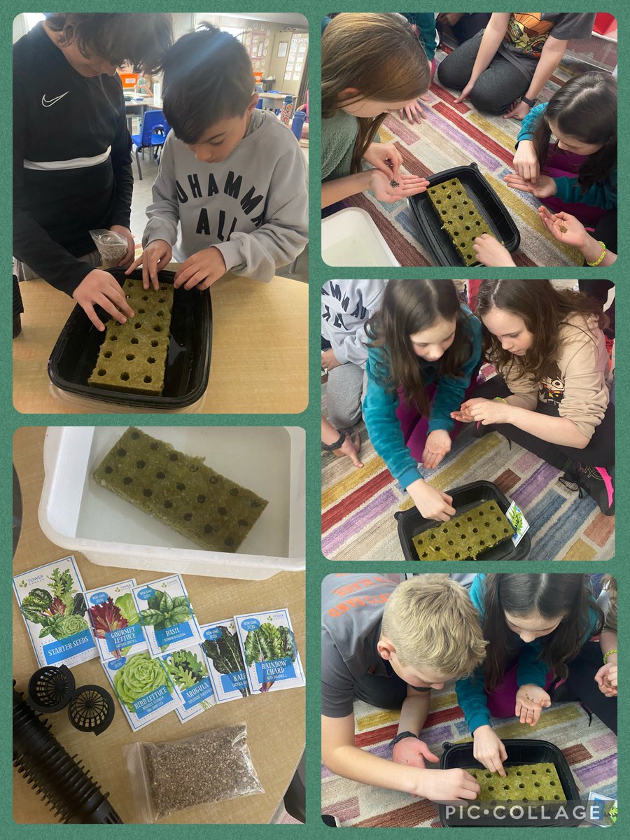 We’re getting our Tower Garden up and running! We planted gourmet lettuce and arugula this-afternoon. Our harvest will be donated to the Heron Emergency Food Centre in support of our Social Entrepreneur Project! @ocsbSEP @StGemmaOCSB