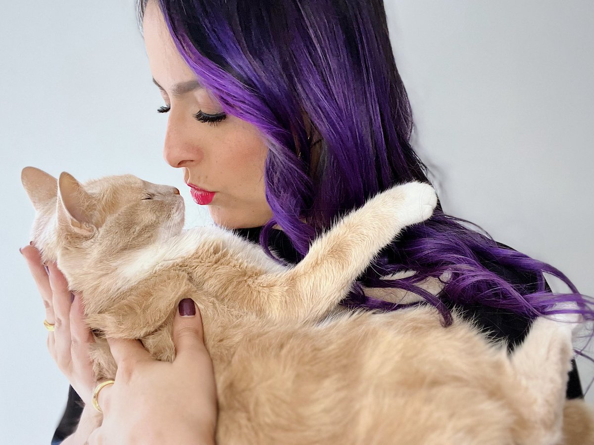 SaraDelgadoVT's tweet photo. Los gatos son unos reyes totales del universo, su existencia no se celebra solo un día, se celebra tres. Y es que lo merecen todo.
¡Feliz día del gato a mis amores de la vida, a mis pollis! ❣️
#DiaDelGato #FelizDiaDelGato #DiaInternacionalDelGato #Gatos #Gato #Cat #Cats #Pollis https://t.co/PC9GBvrysn
