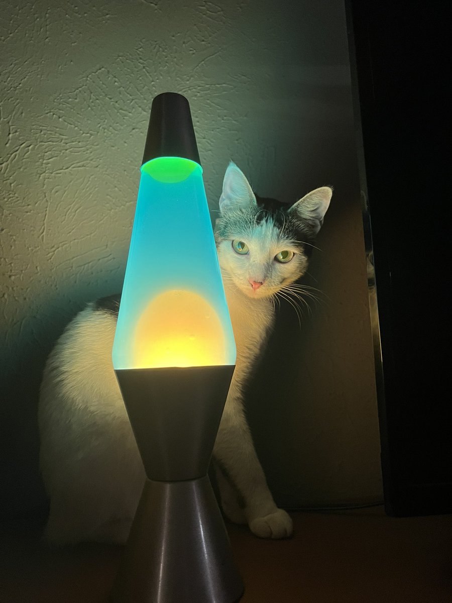 jacktpowell's tweet image. 