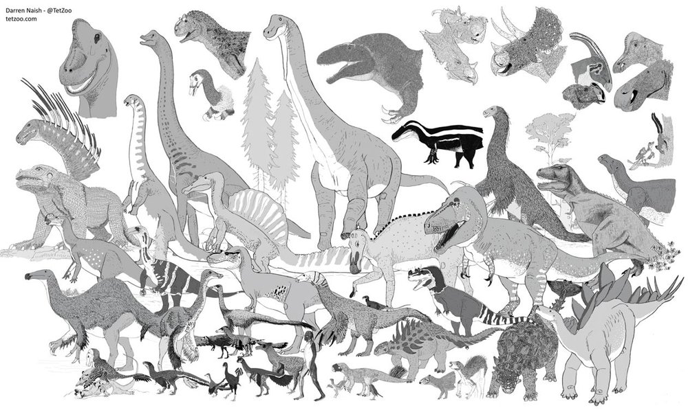 Would you like a brief primer on where we're at with our current knowledge of #dinosaurs? Things have changed... a lot. Then buy #Dinopedia from @PrincetonUPress, it's compact and cheap :) press.princeton.edu/books/hardcove… #books #sciencebooks #biology #naturalhistorybooks