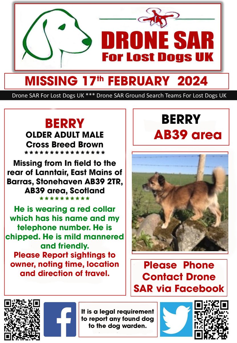 #LostDog #Alert BERRY Male Cross Breed Brown (Age: Older Adult) Missing from In field to the rear of Lanntair, East Mains of Barras, Stonehaven AB39 2TR, AB39 area, Scotland on Saturday, 17th February 2024 #DroneSAR #MissingDog