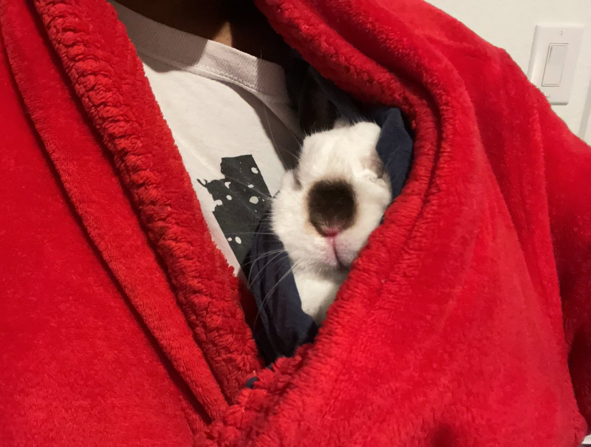 MsLiveScene's tweet image. Yeah you just gained a new follower #BunnyMom Princess says hey 👋🏾💕