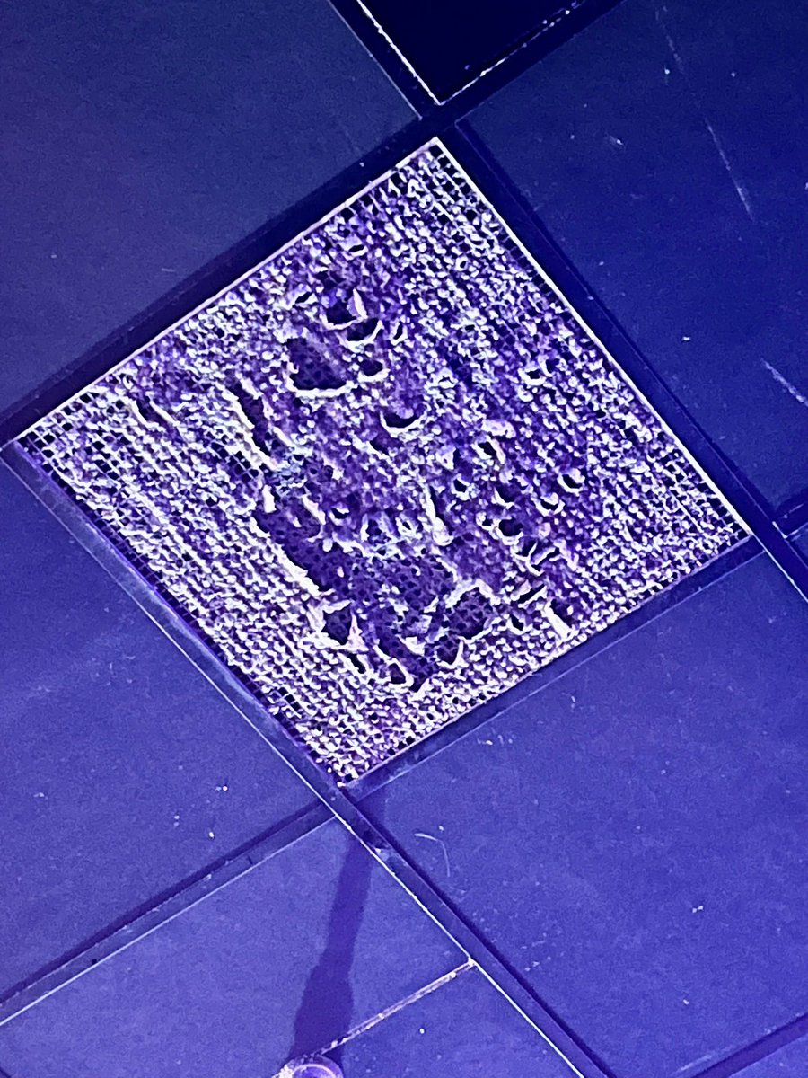 The Highwires tweet media