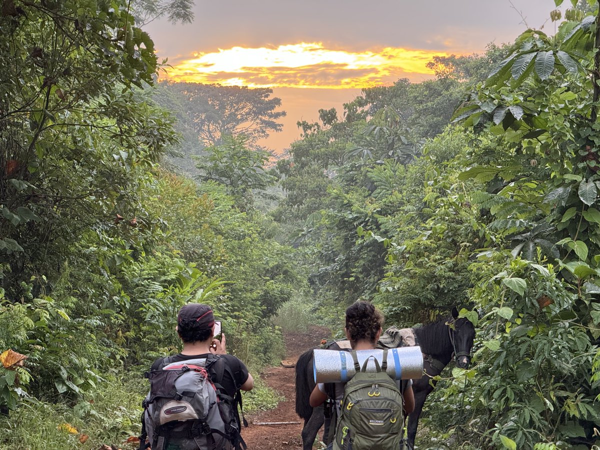 santiak's tweet image. Iniciando la caminata, al despuntar el día en la Amazonía #biologos