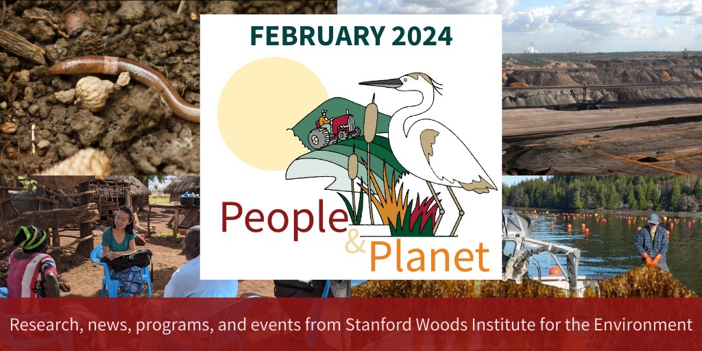 🌍 Dive into the latest edition of the People&Planet newsletter! Discover research on non-native earthworms, aquaculture & fishery policies, discrepancies in poverty measurements, and more. Don't miss out on the ✨newly redesigned✨ February 2024 issue ➡️ bit.ly/3SXOOpn