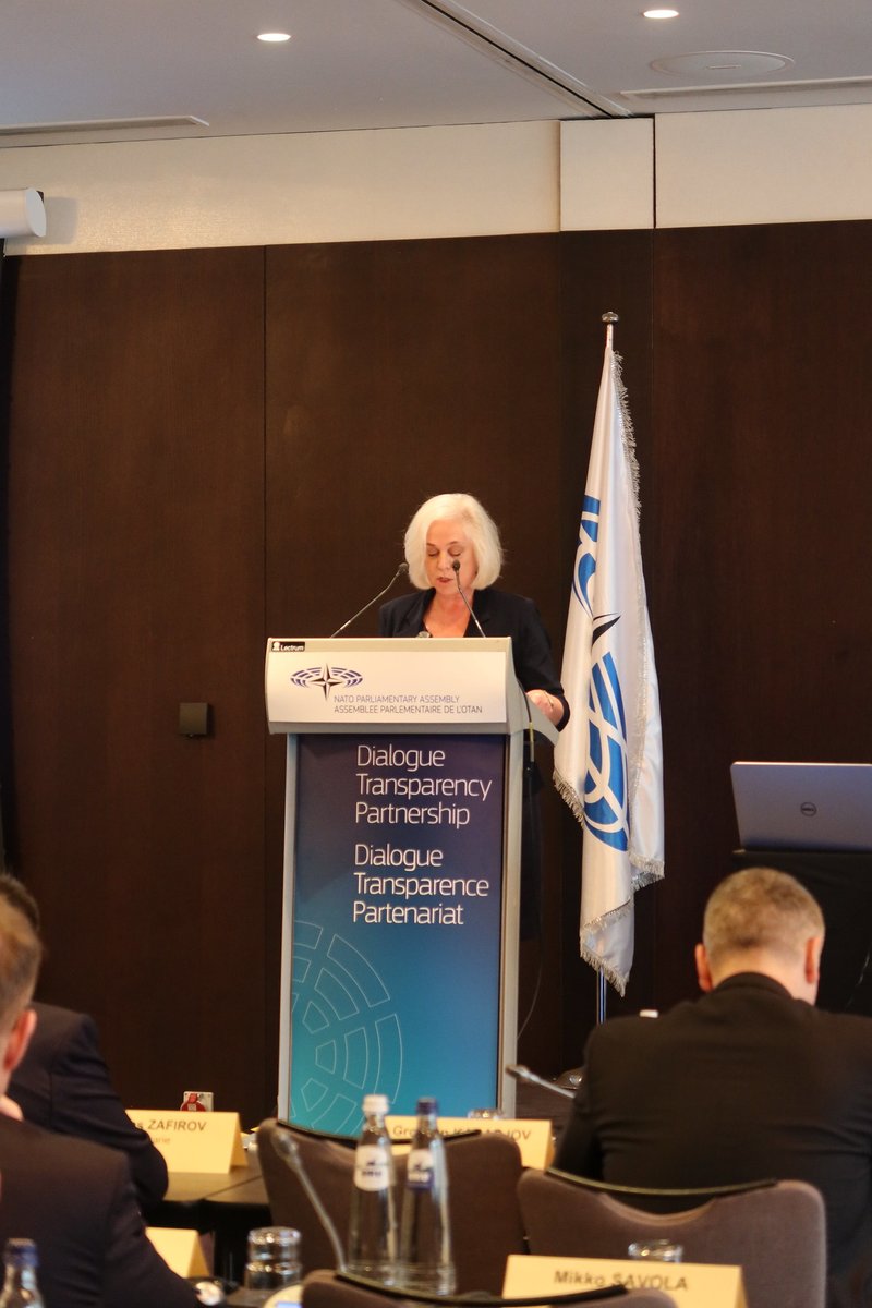 natopa's tweet photo. #NATOPA annual joint meetings continue on day 2⃣with address by 🇧🇪 PermRep, Ariadne Petridis, and a focus on #NATO’s Approach to the Southern neighbourhood &amp; the #IndoPacific region, the #EU’s Neighbourhood &amp; Enlargement Policies and European energy security. https://t.co/8mxR2oaPai
