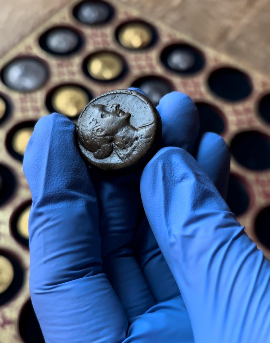 laBnF's tweet photo. D’Alexandre le Grand à #Cléopâtre, mardi prochain
@JulienOlivier45 vous dit tout sur le fonds des monnaies ptolémaïques de la BnF, qui compte plus de 2500 pièces !  

RDV le 27 février @laBnF | Richelieu pour un cours public d'archéologie ouvert à tous : https://t.co/h2a3DXlCMb https://t.co/Omxk95ZFH6