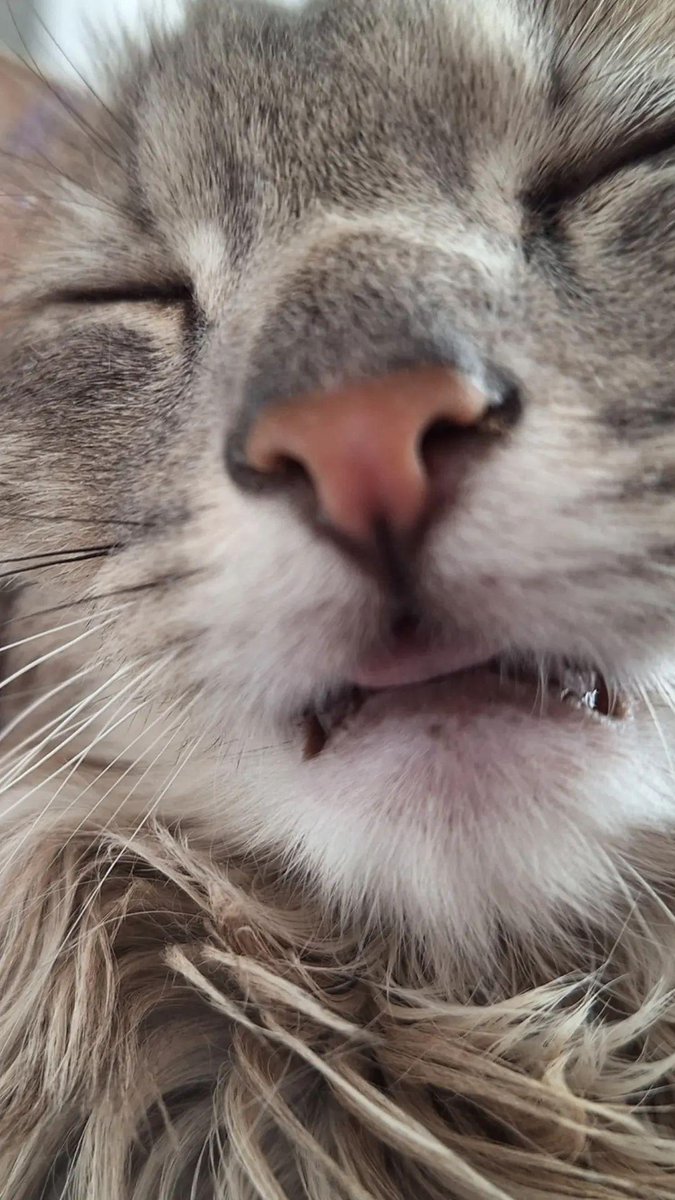 Dayruffini's tweet photo. Te extraño cada dia hijo, cuanta falta me haces Rey ❤️‍🩹💔🥺

Daría lo que fuera por un ratito más de tu compañía. https://t.co/xfrsQIY53L