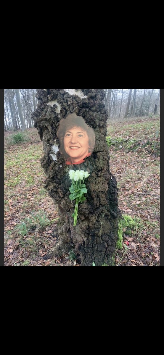 Gary Witney tweet media