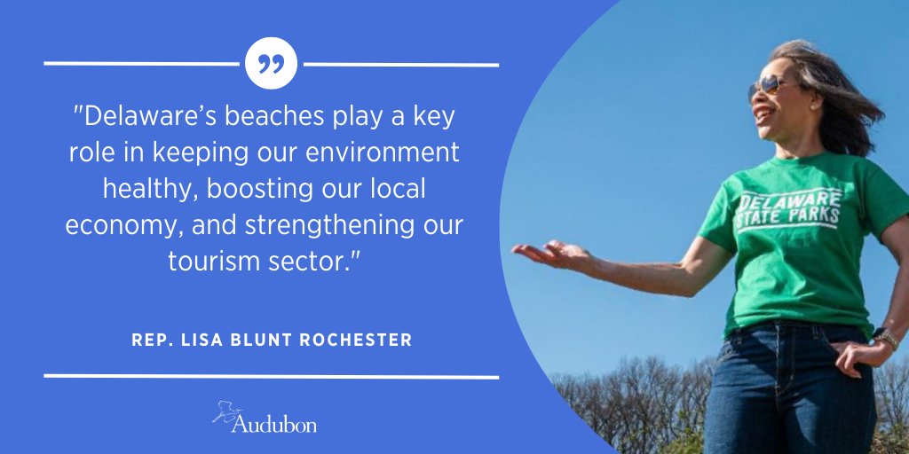 audubonsociety's tweet photo. Among the wildlife champions we're highlighting this #BlackHistoryMonth is @RepLBR of Delaware, who has been a leader for conservation in the Chesapeake Bay region and has supported legislation like the Coastal Barrier Resources Act. https://t.co/qJCVziNyGw