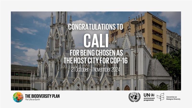 Congratulations to Cali for being chosen as the host city for @UNBiodiversity #COP16 🇨🇴

The CBD Secretariat looks forward to collaborating and going from #AgreementToAction

#BiodiversityPlan #PeaceWithNature